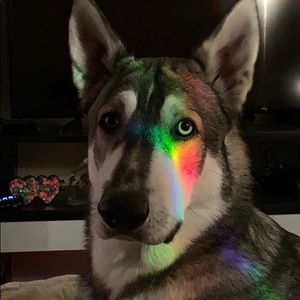 Meet your Posher, Mari